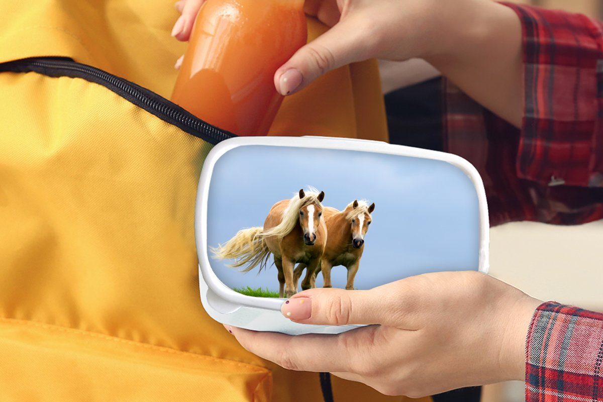 Pferde (2-tlg), Brotbox - und Mädchen Jungs Brotdose, Kinder Gras Lunchbox für für Luft, und - Kunststoff, weiß Erwachsene, MuchoWow