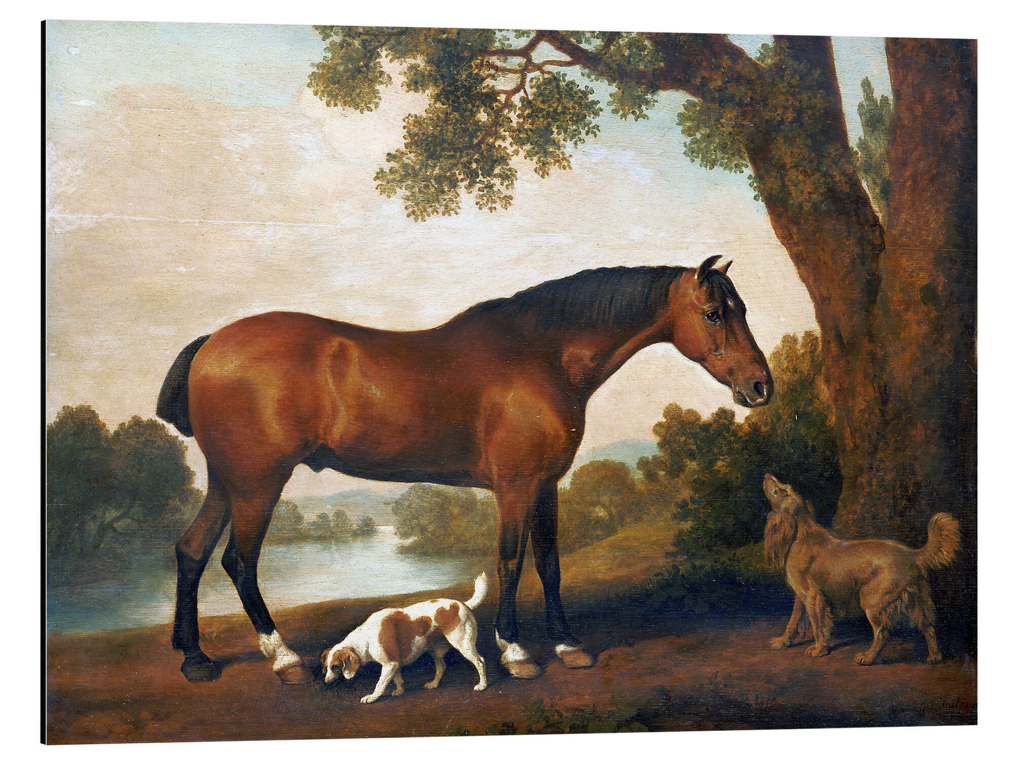 Posterlounge Alu-Dibond-Druck George Stubbs, Pferd und zwei Hunde, Malerei