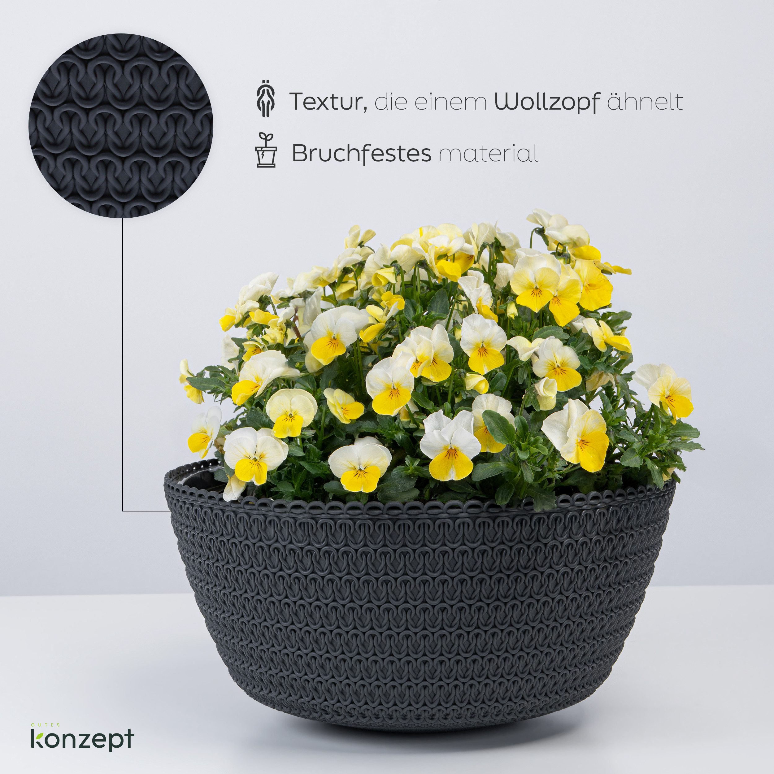 KONZEPT Blumenampel Hängend für Innen und günstig online kaufen