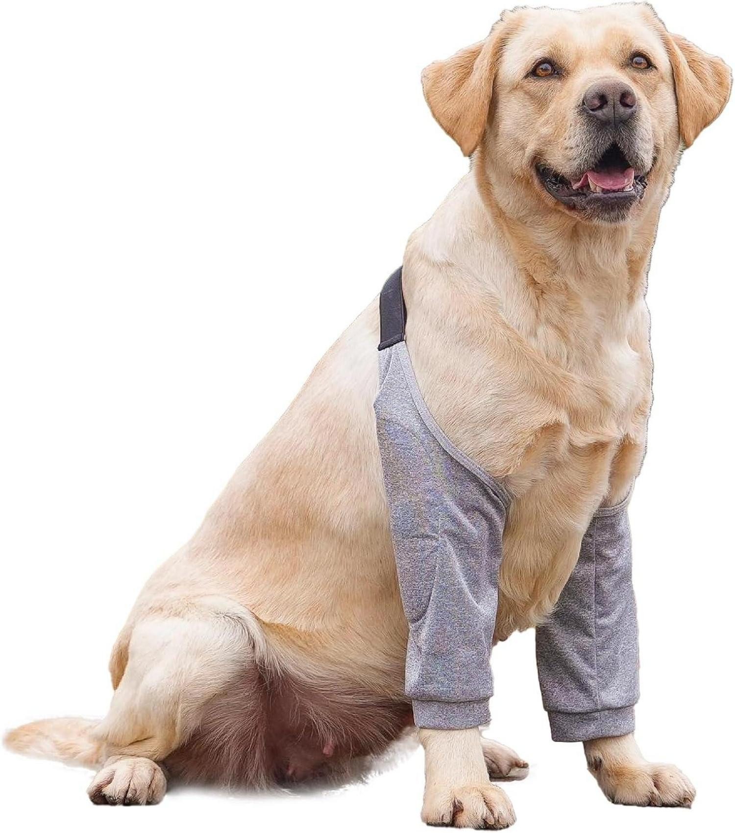 Schutzkragen Recovery Sleeve Hund Ellenbogenbandage Ellbogenschoner Vorderbeine