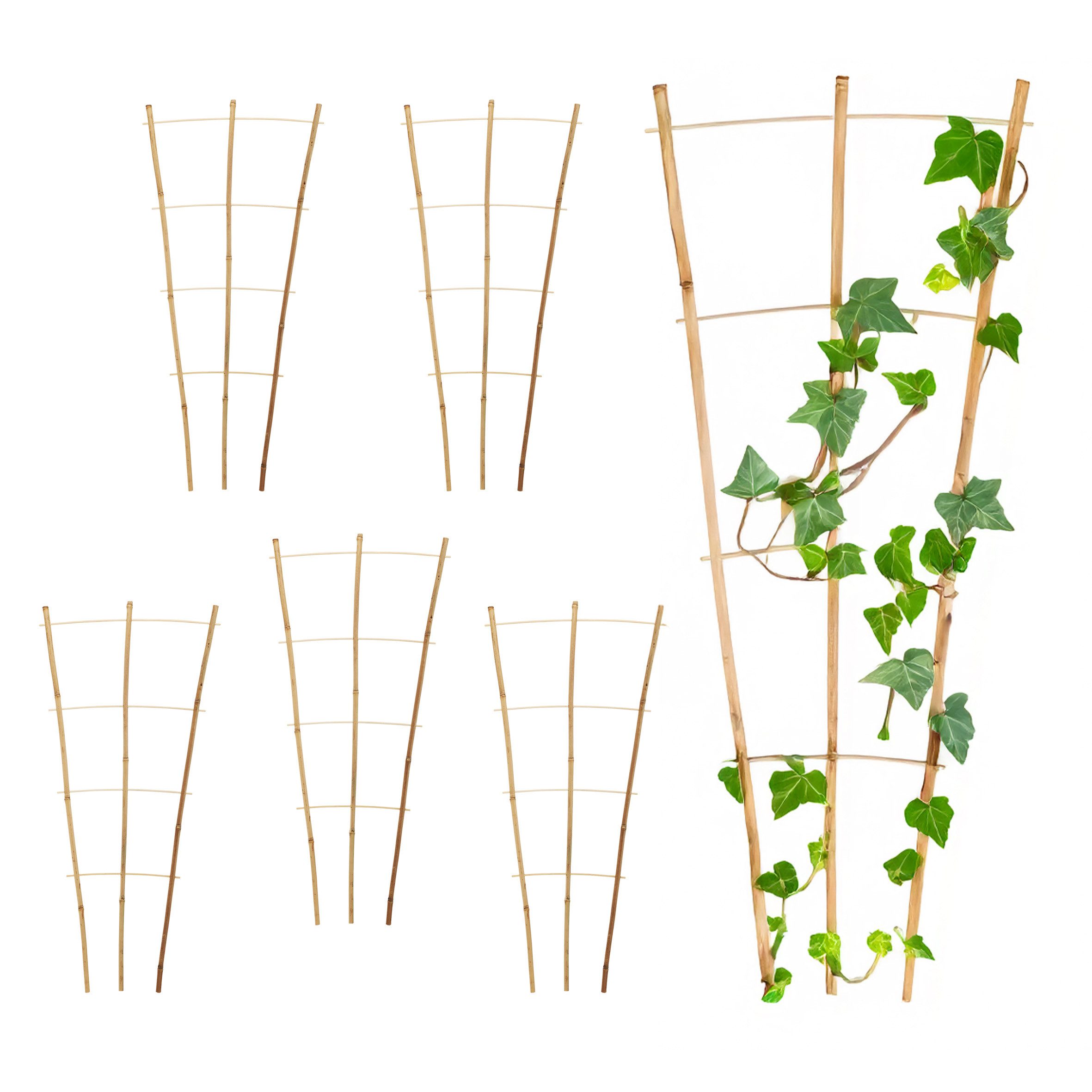 Spetebo Rankgitter Bambus 75 x 35 günstig online kaufen