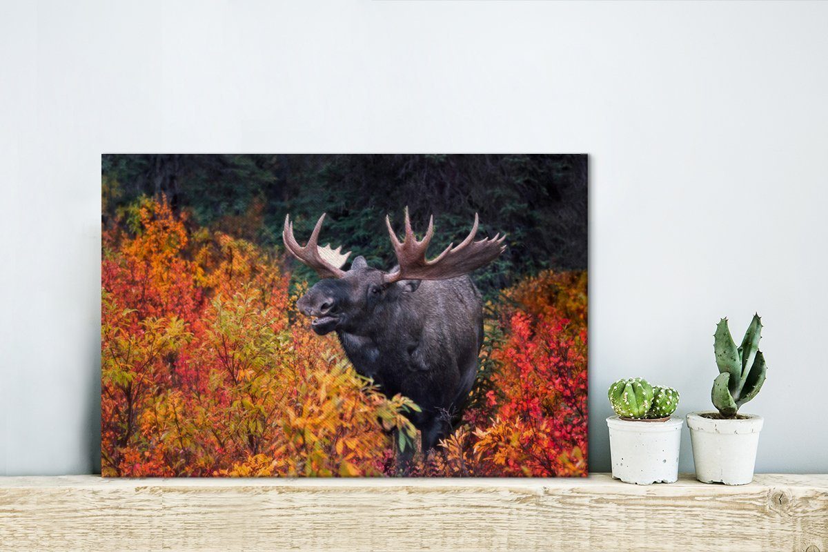 OneMillionCanvasses® Leinwandbild Ein Elch zwischen bunten günstig online kaufen