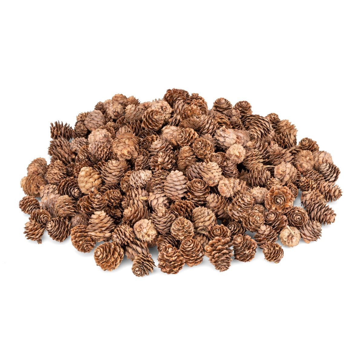 NaDeco Bastelnaturmaterial NaDeco Lärchenzapfen natur, 0,5 kg, 175 bis 200 Stück, 2 bis 3 cm