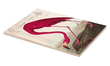 Posterlounge Holzbild John James Audubon, Kubaflamingo aus "The Birds of America", Viva Magenta Living Illustration