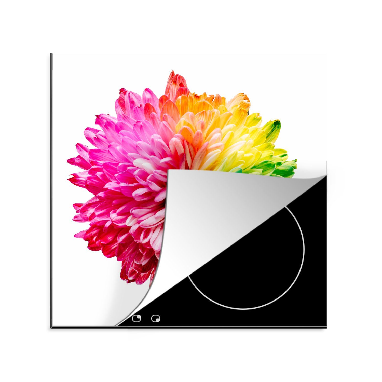 MuchoWow Herdblende-/Abdeckplatte Blumen - Regenbogen - Chrysantheme, Vinyl, (1 tlg), 78x78 cm, Ceranfeldabdeckung, Arbeitsplatte für küche