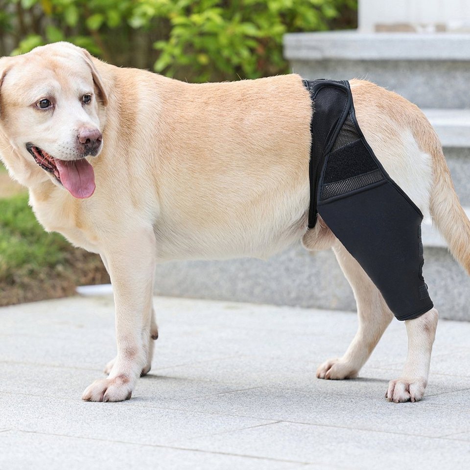 LAPA HOME Knieschutz Hund Beinschützer Knieschoner für Hunde