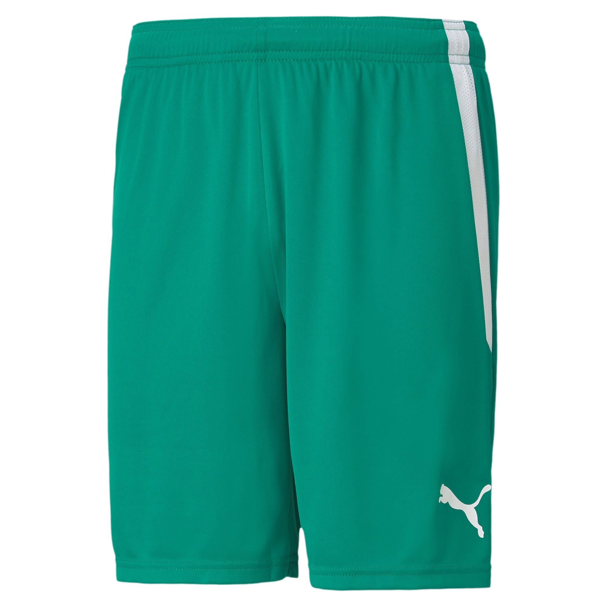PUMA Trainingsshorts Puma Herren Shorts teamLIGA günstig online kaufen
