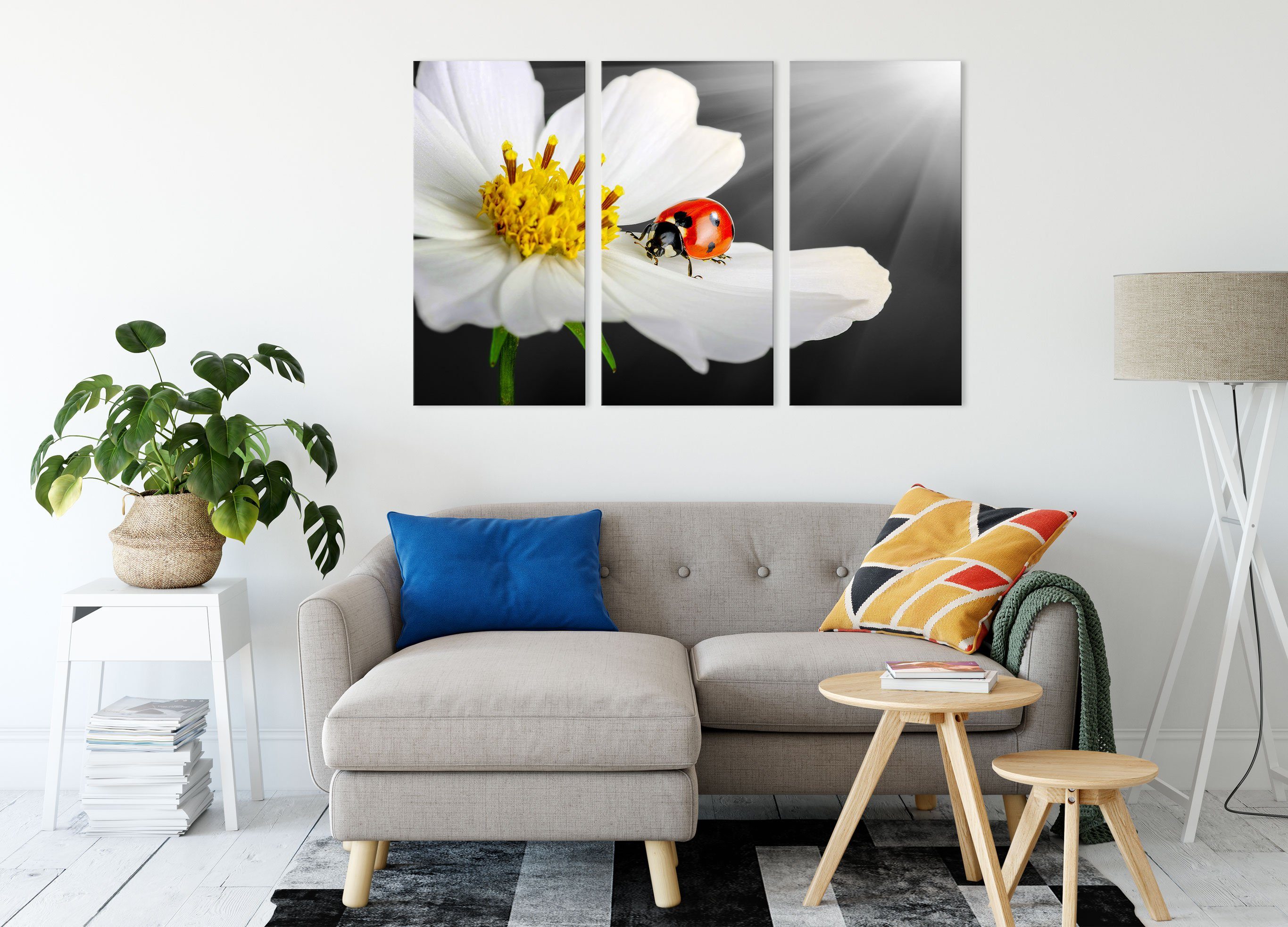 einer Leinwandbild einer auf auf weißen inkl. 3Teiler Marienkäfer Pixxprint (1 Blume, Zackenaufhänger (120x80cm) Marienkäfer weißen fertig bespannt, Leinwandbild St), Blume