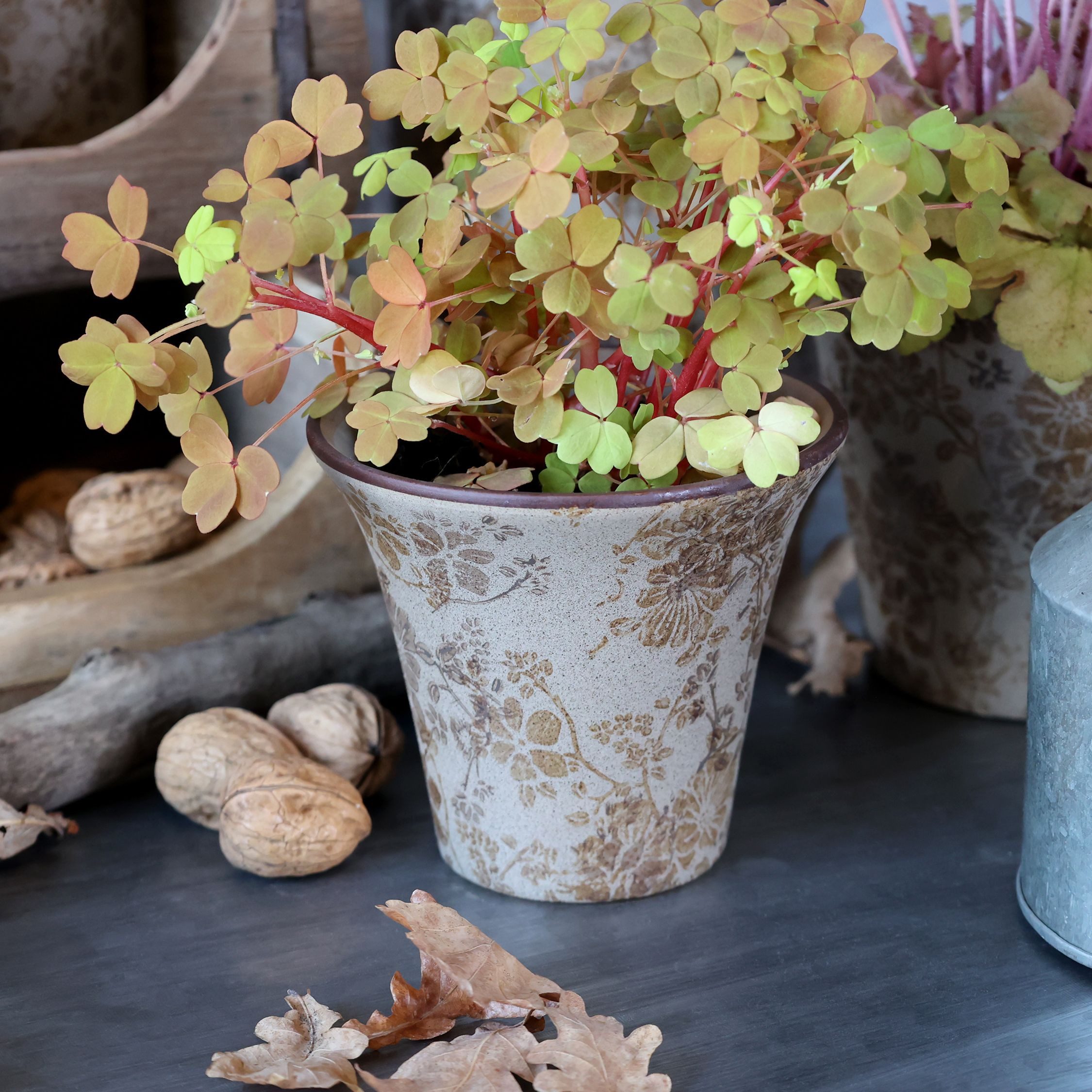 Chic Antique Übertopf Chic Antique * Übertopf Melun in latte H12,5/D14,5 cm günstig online kaufen