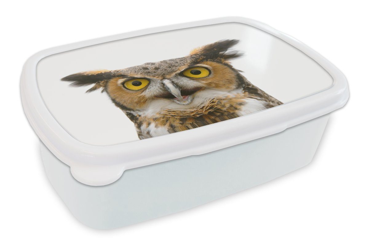 MuchoWow Lunchbox Eule - Vogel - Porträt, Kunststoff, (2-tlg), Brotbox für Kinder und Erwachsene, Brotdose, für Jungs und Mädchen weiß