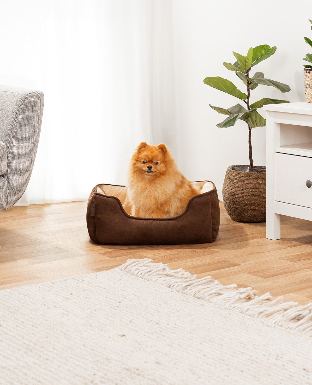 lionto Tierkissen 2-in-1, weich gepolstert & pflegeleicht, 60x50 cm, braun/beige, Wildlederimitat, Wendekörbchen mit tiefem Einstieg