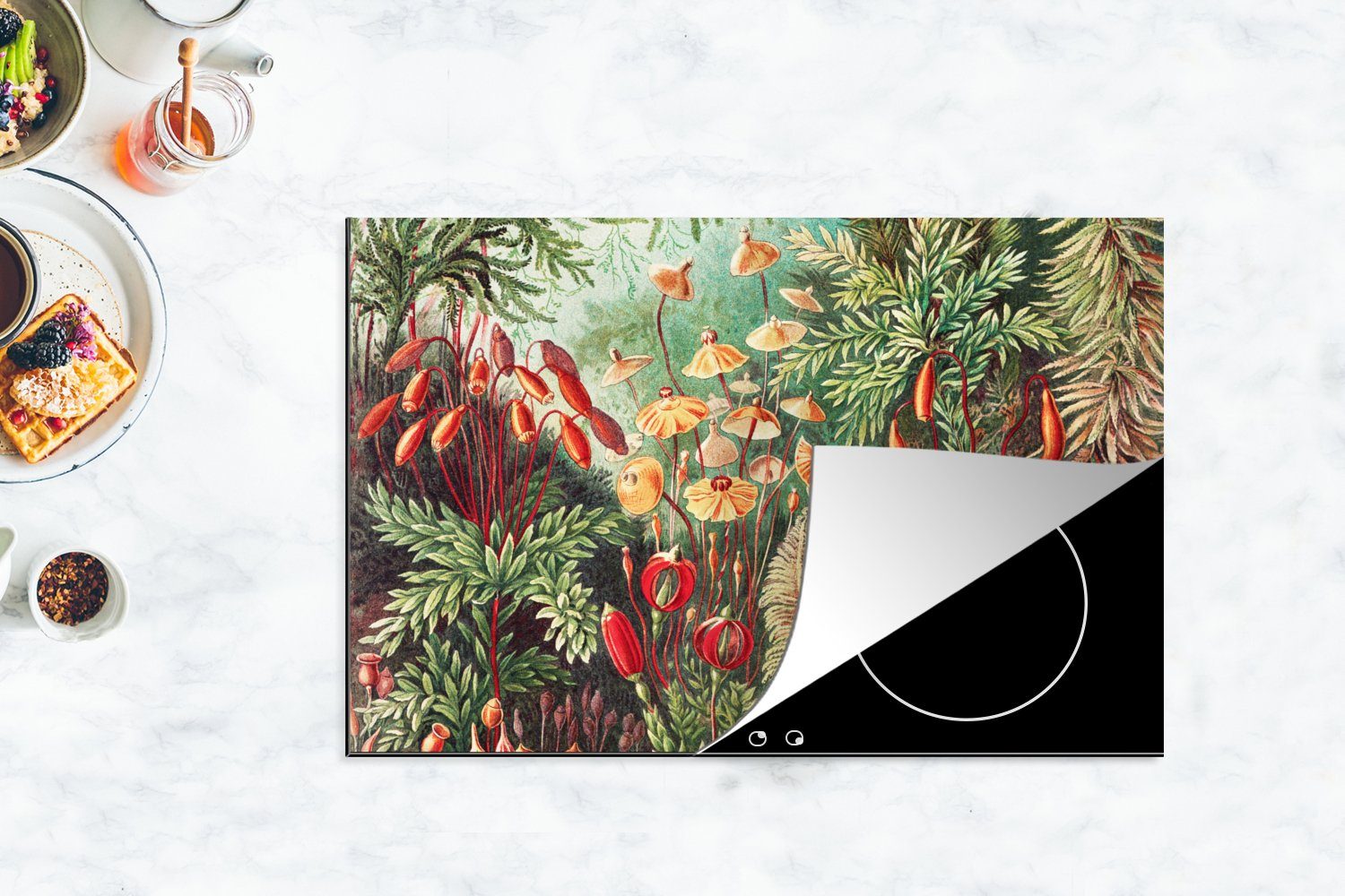 Natur Ceranfeldabdeckung - Induktionskochfeld Herdblende-/Abdeckplatte für Botanisch, - cm, Vintage Blumen - - Schutz 80x52 küche, tlg), Vinyl, die MuchoWow (1 Kunst