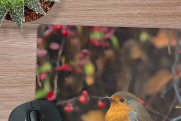 MuchoWow Gaming Mauspad Äste - Rotkehlchen - Natur (1-St), Mousepad mit Rutschfester Unterseite, Gaming, 40x40 cm, XXL, Großes