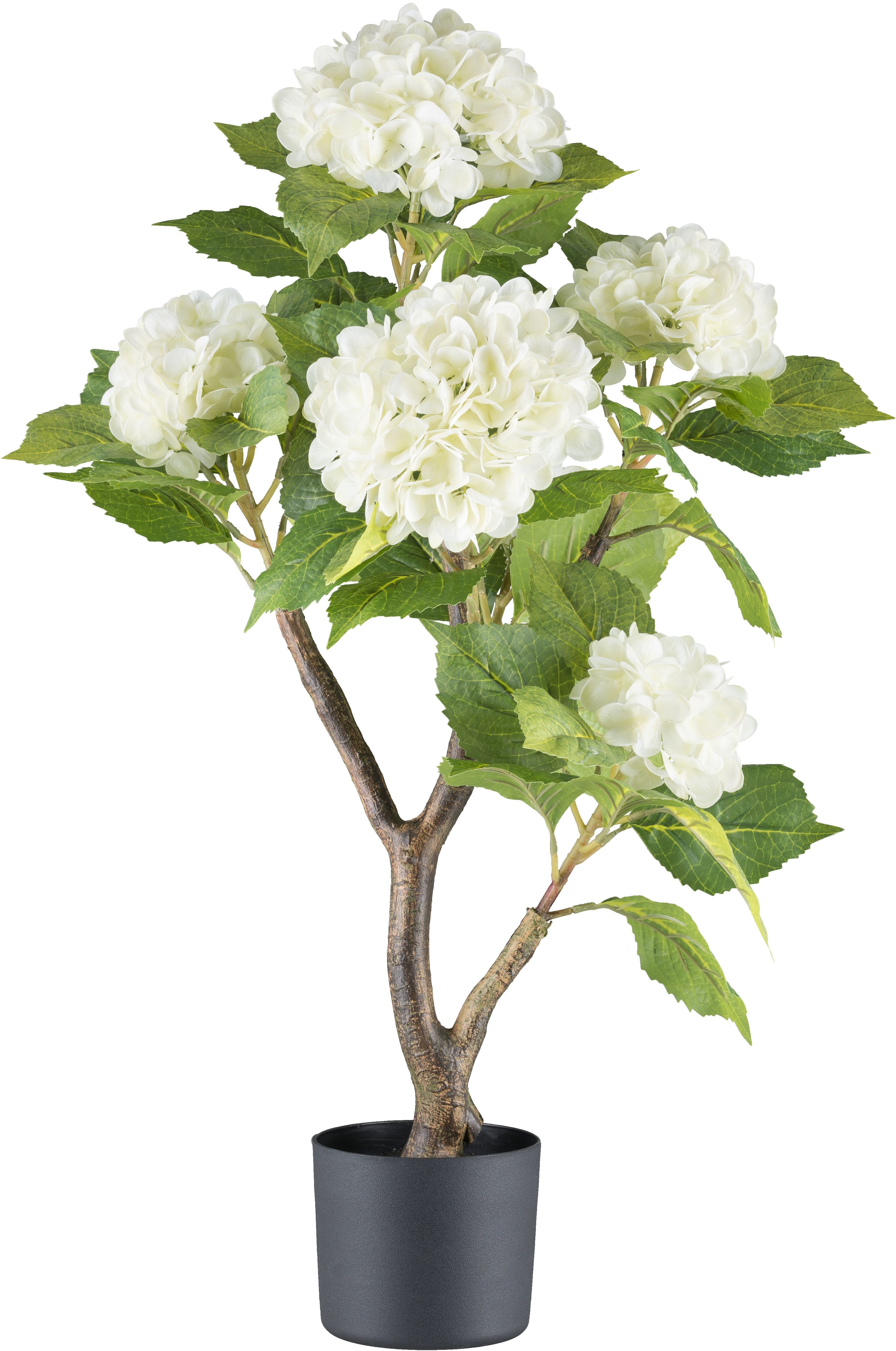 Kunstblume Hortensie Blühpflanze, Creativ green, Höhe günstig online kaufen