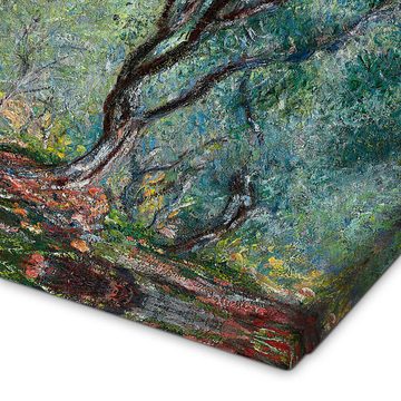 Posterlounge Leinwandbild Claude Monet, Olivenbäume im Moreno-Garten, Wohnzimmer Malerei