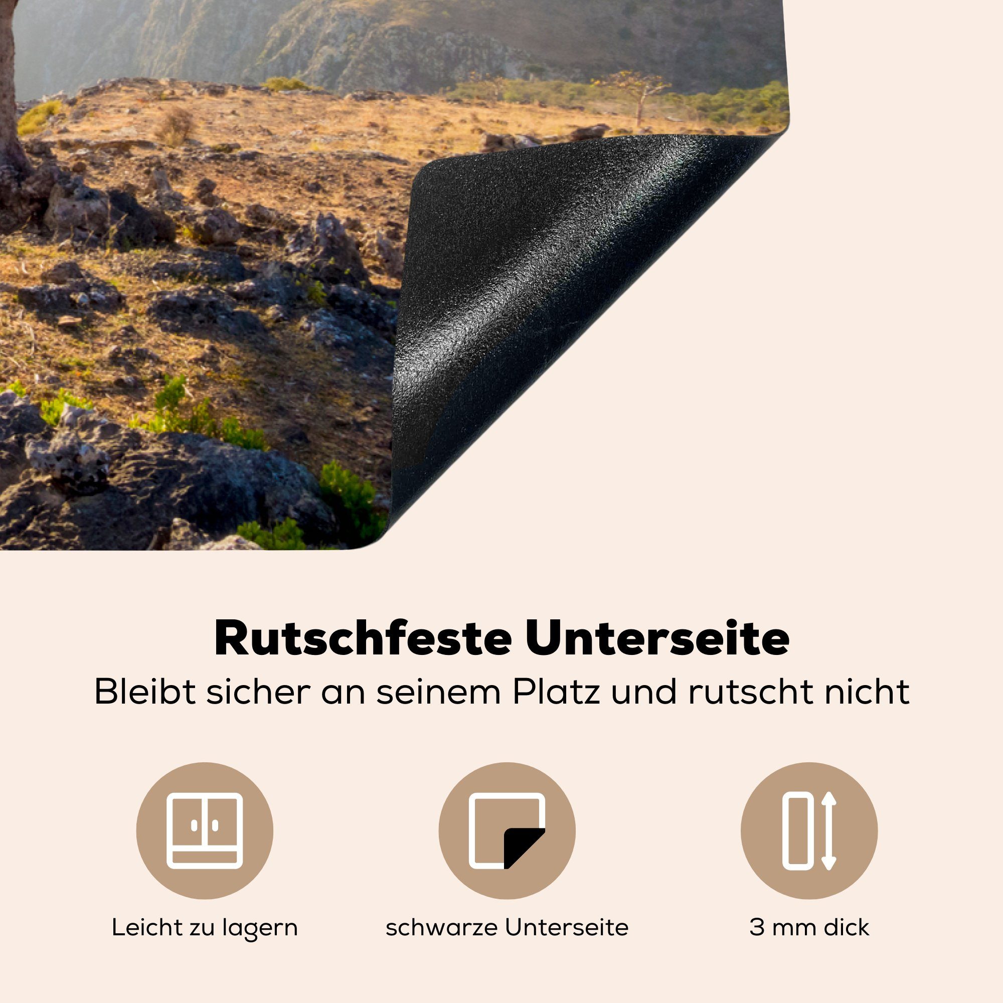 die küche, Drachenbäume Vinyl, (1 tlg), auf Induktionskochfeld Herdblende-/Abdeckplatte einer Ceranfeldabdeckung cm, Klippe, für MuchoWow 81x52 Schutz