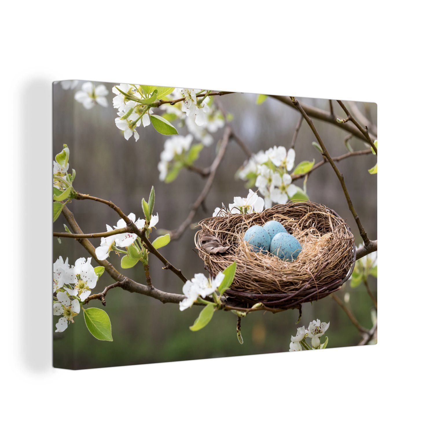 OneMillionCanvasses® Leinwandbild Rotkehlchennest inmitten Frühlingsblüten, der Wanddeko, (1 Wandbild 30x20 cm Leinwandbilder, Aufhängefertig, St)