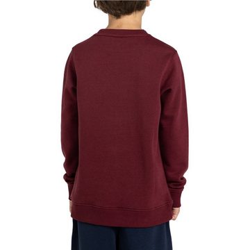 Element Sweatshirt CORNELL CLASSIC OTLR CORNELL CLASSIC OTLR