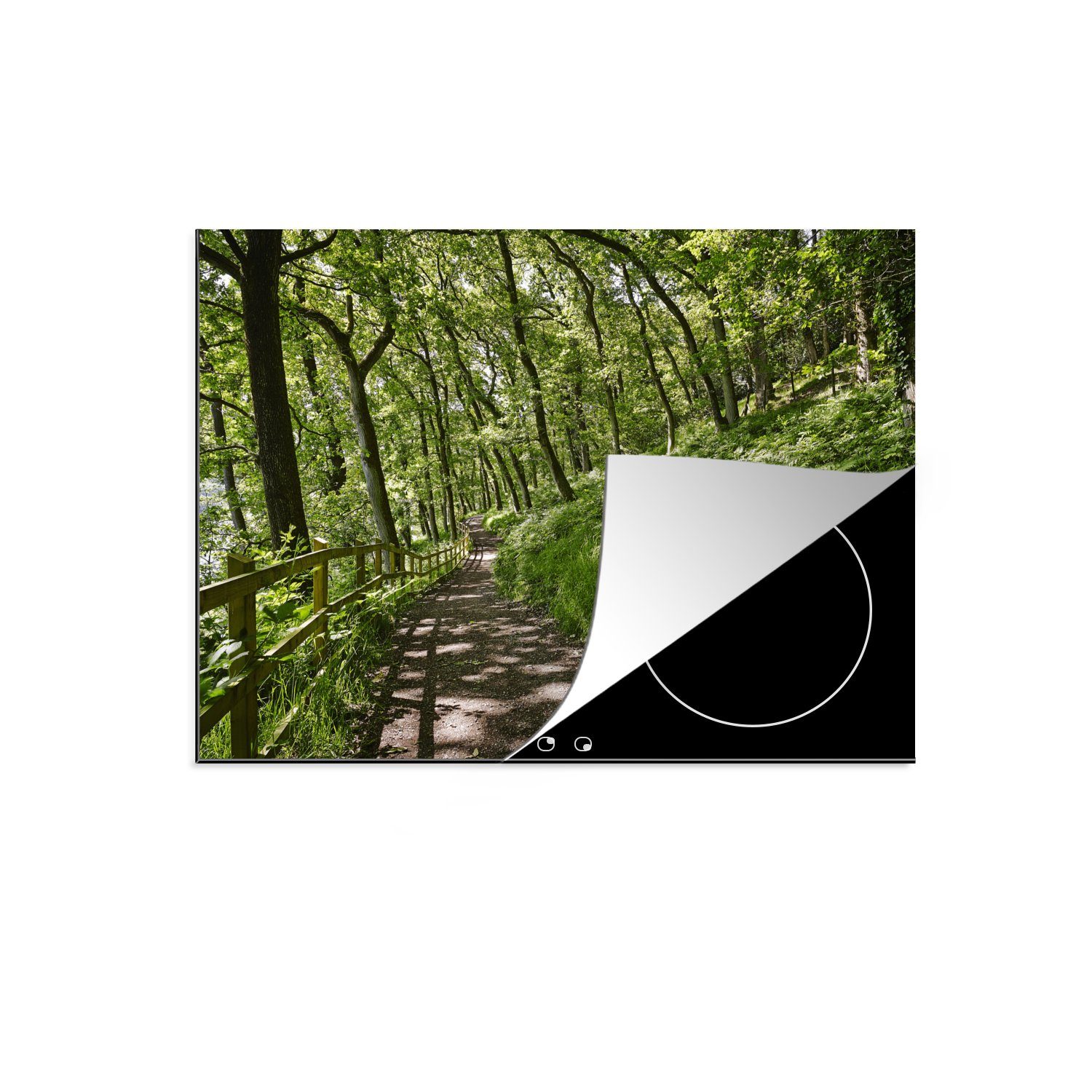 MuchoWow Herdblende-/Abdeckplatte Die Sonne bricht durch die Wälder von Englands Exmoor National Park, Vinyl, (1 tlg), 71x52 cm, Induktionskochfeld Schutz für die küche, Ceranfeldabdeckung | Herdabdeckplatten