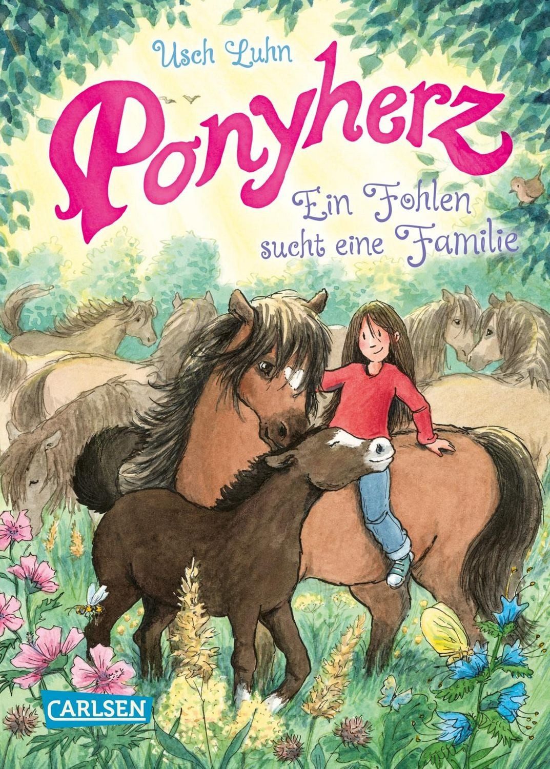 Ponyherz 24: Ein Fohlen sucht eine Familie / Usch Luhn