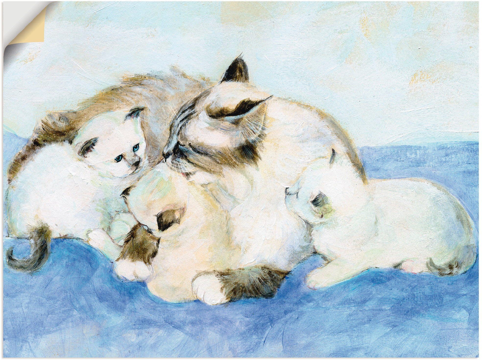 Artland Wandbild in versch. Poster Katzenfamilie, Leinwandbild, Wandaufkleber oder (1 St), Haustiere Größen als