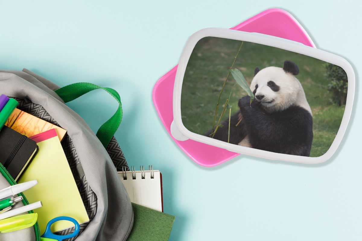 Pandabär Tiere - Kunststoff Wilde Kinder, Mädchen, - MuchoWow rosa Kunststoff, für Erwachsene, Lunchbox Blätter, Brotbox (2-tlg), Brotdose Snackbox,