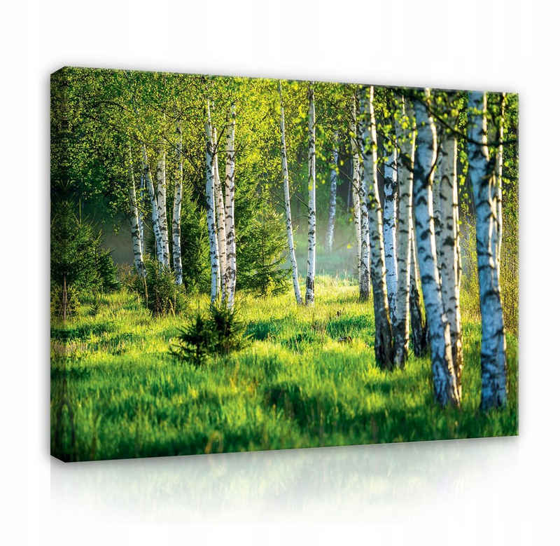 Wallarena Leinwandbild Wald Birkenwald Birke Natur Wandbild Groß XXL Wandbilder Leinwandbilder Modern Canvas Kunstdruck Bild Auf Leinwand Bilder für Wohnzimmer Schlafzimmer, (Einteilig), Aufhängefertig