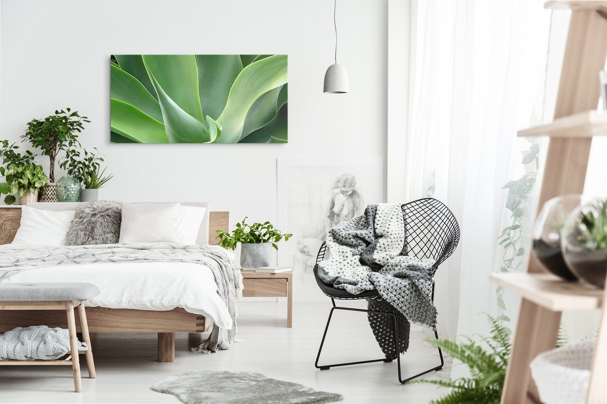 Sinus Art Leinwandbild Kunstdruck Bilder 120x60cm Grüne Pflanze Aloe Vera Fotokunst Nahaufnah, (1 St)