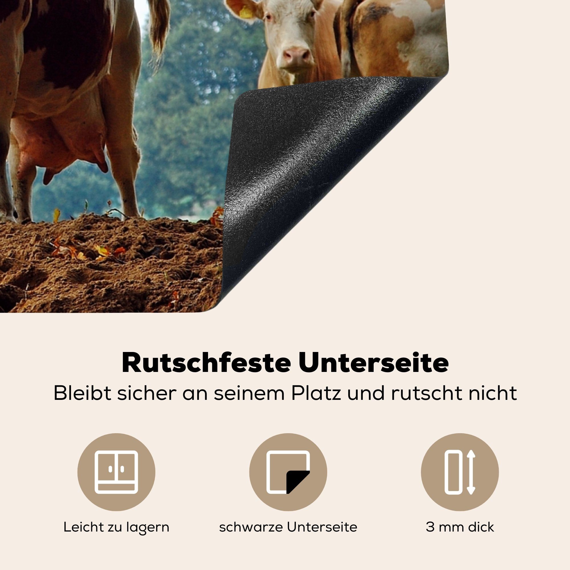 die für MuchoWow küche, Induktionskochfeld - Bauernhof Herdblende-/Abdeckplatte (1 81x52 Ceranfeldabdeckung Schutz tlg), Kühe Friesland, Vinyl, - cm,