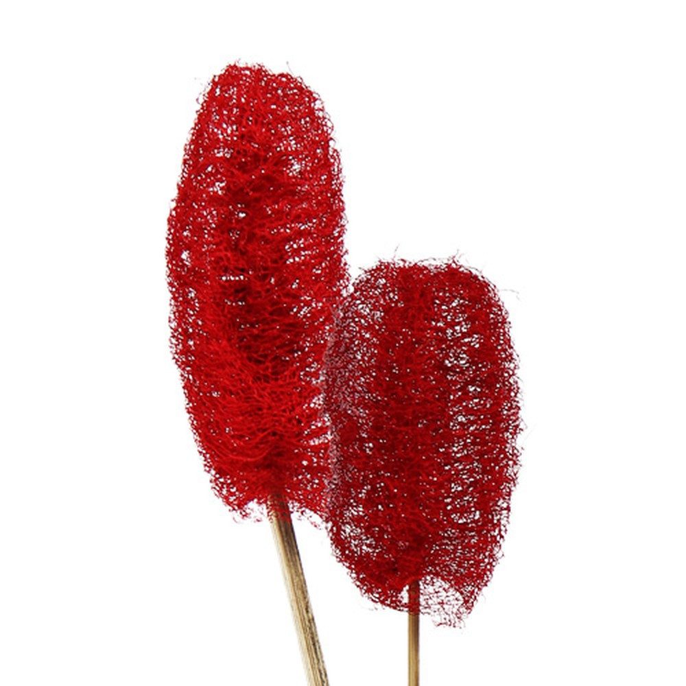Bastelmoos Luffa groß am Stiel Rot 25 St - Deko-Kunstblumen Trauerfloristik