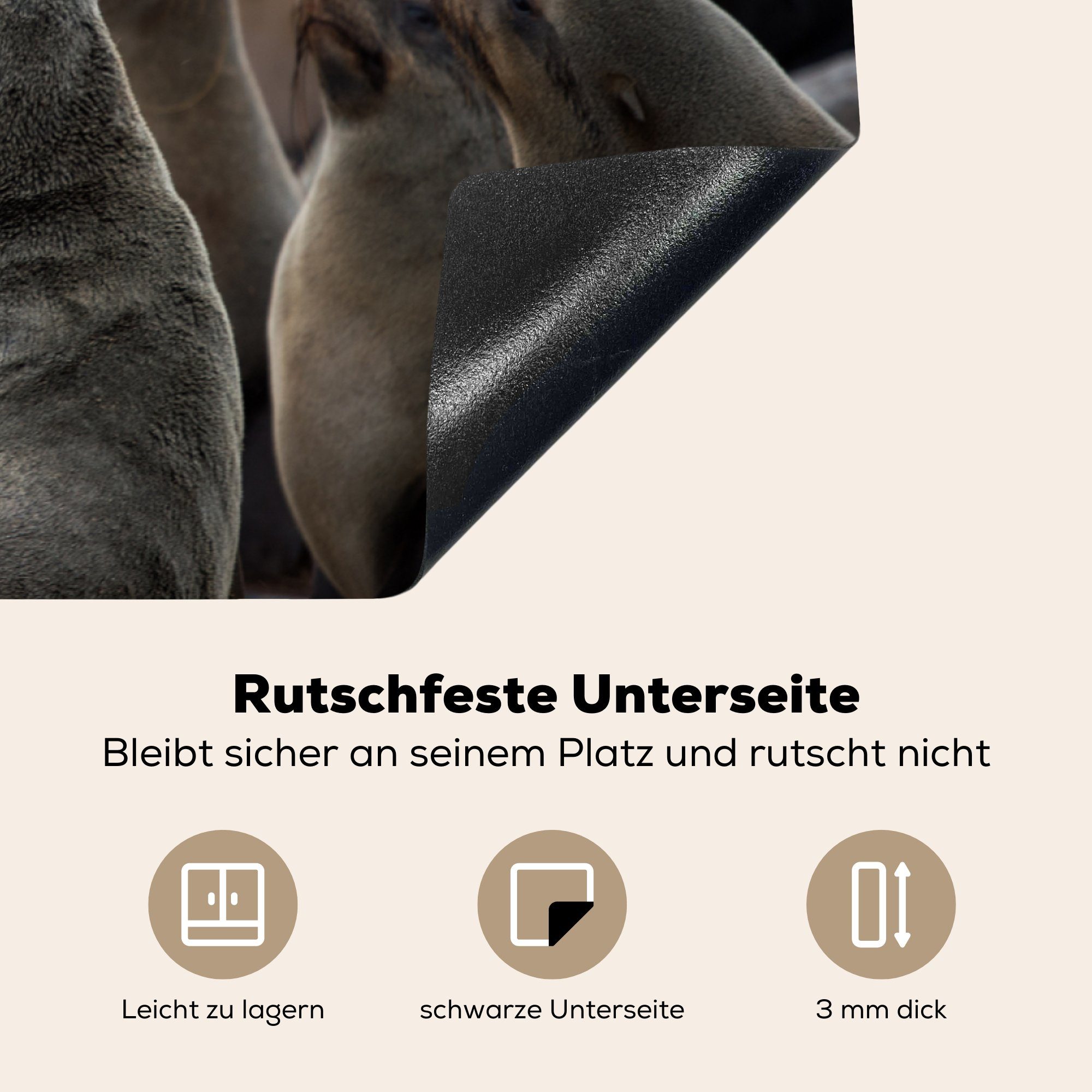 Vinyl, Herdblende-/Abdeckplatte MuchoWow große Ceranfeldabdeckung (1 Induktionskochfeld tlg), Gruppe von Robben, die für Schutz Eine cm, 81x52 küche,