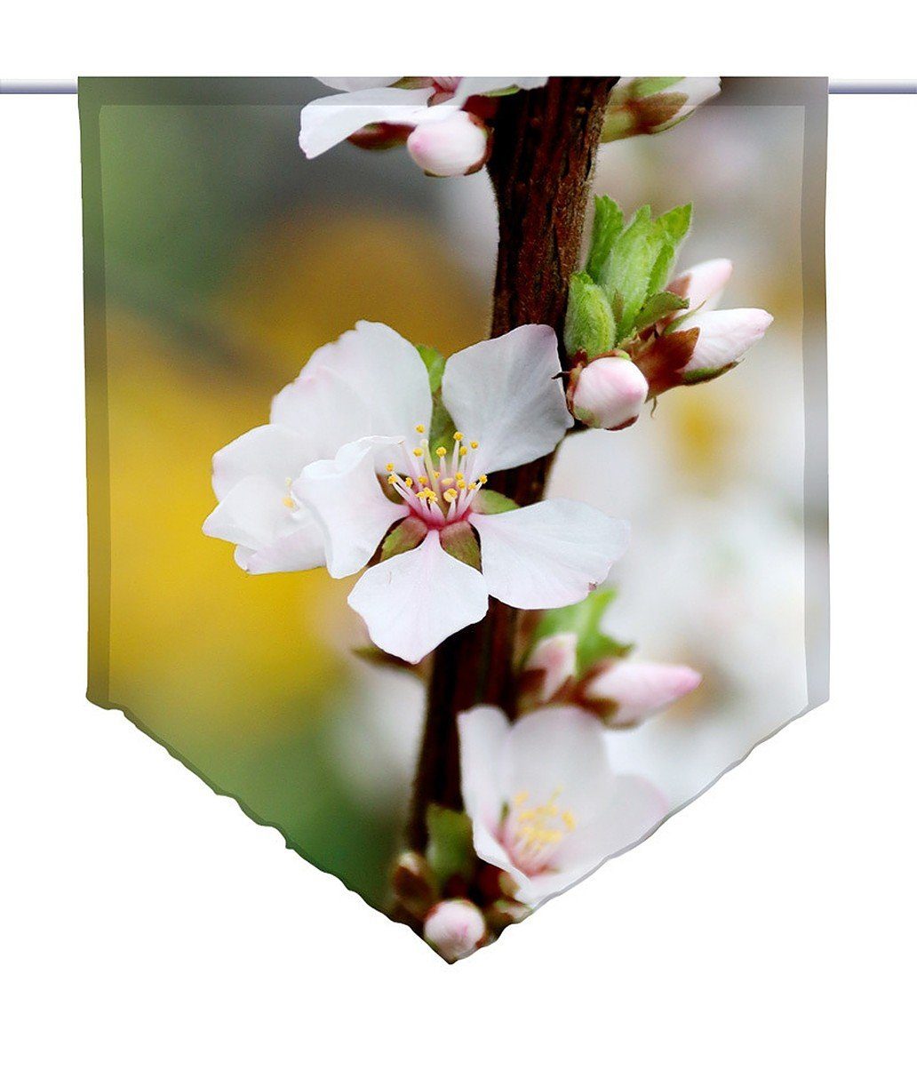 gardinen-for-life Scheibengardine Scheibenhänger spitz Frühlingsromantik, Voile Transparent