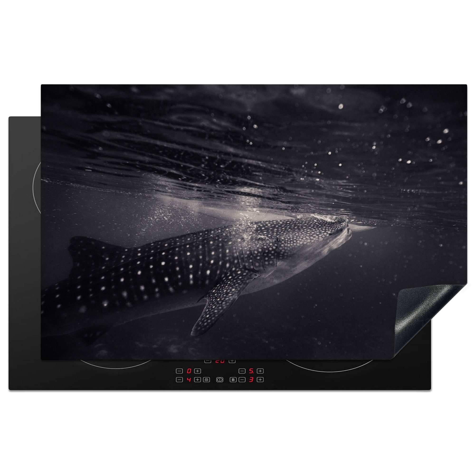 MuchoWow Herdblende-/Abdeckplatte Meerestiere - Tigerhai - Schwarz und weiß, Vinyl, (1 tlg), 81x52 cm, Induktionskochfeld Schutz für die küche, Ceranfeldabdeckung