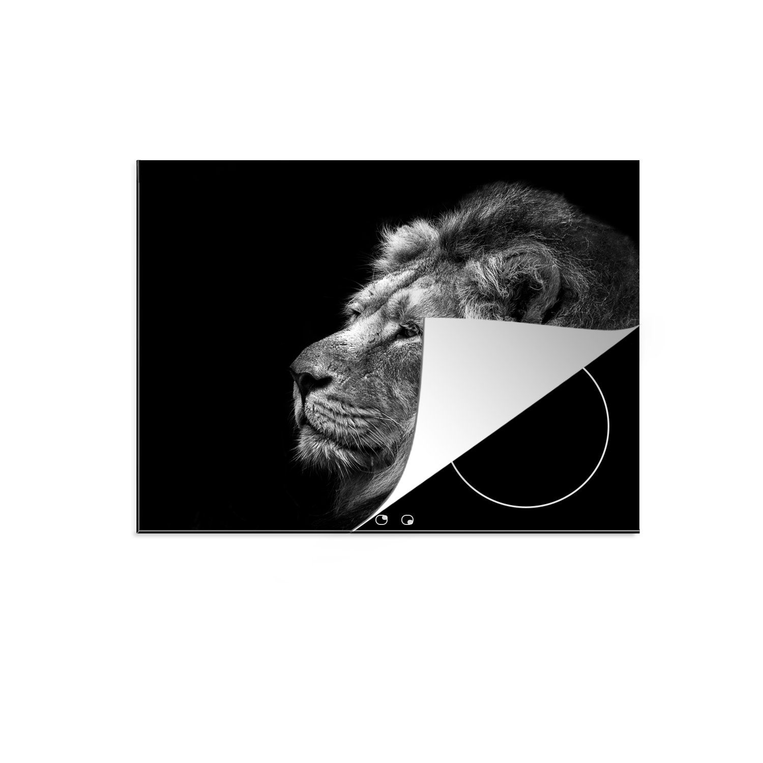 MuchoWow tlg), cm, die Löwe Hintergrund 59x52 und schwarzem küche, schwarz in weiß, Induktionsmatte Ceranfeldabdeckung vor Vinyl, (1 für Herdblende-/Abdeckplatte