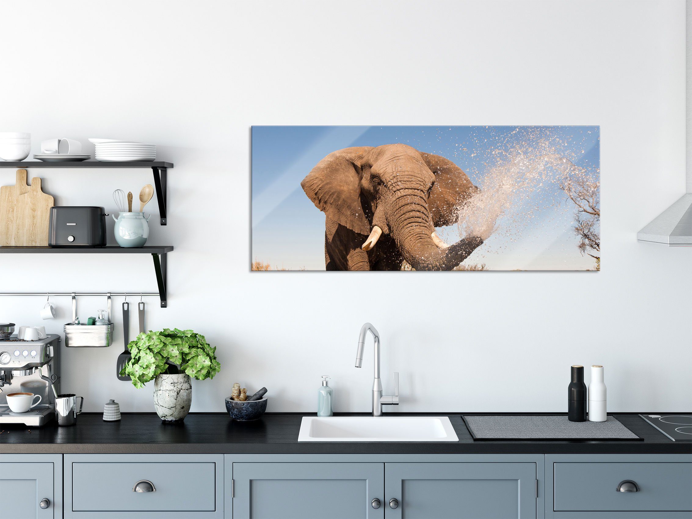 inkl. Wasser, mit Glasbild St), Elefant Aufhängungen Pixxprint mit Elefant schöner spritzt spritzt Wasser Glasbild aus und Abstandshalter (1 Echtglas, schöner