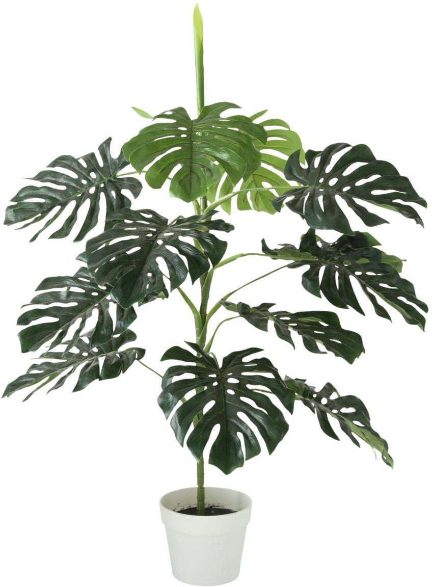 Künstliche Zimmerpflanze Topfpflanze Monstera, BOLTZE, Höhe 110 cm. € 84,99
