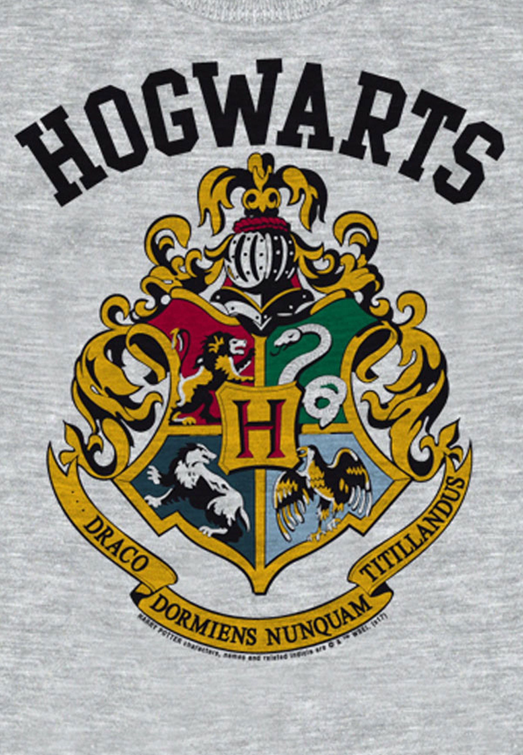 Langarmshirt mit detailliertem Hogwarts LOGOSHIRT Print