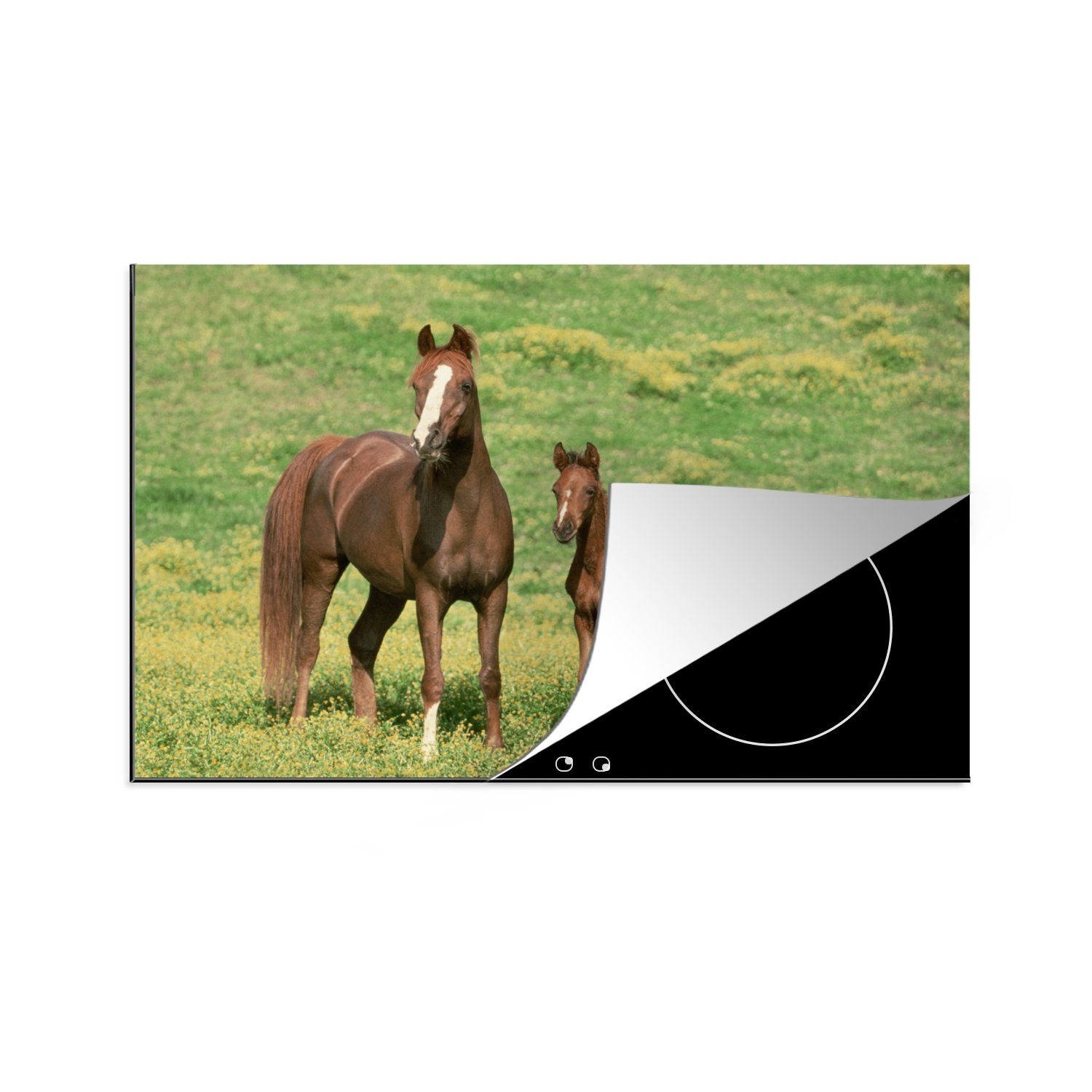 MuchoWow Herdblende-/Abdeckplatte Pferde - Gras - Braun, Vinyl, (1 tlg), 81x52 cm, Induktionskochfeld Schutz für die küche, Ceranfeldabdeckung