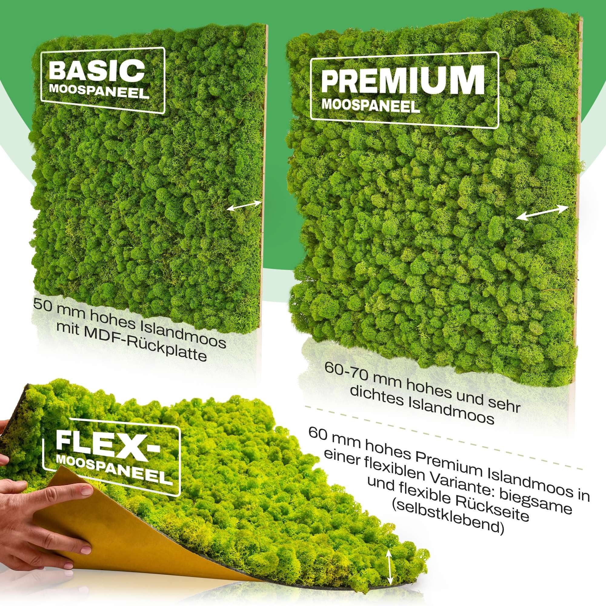naturewalls Wandpaneel Moospaneele Flex 50x50 - günstig online kaufen