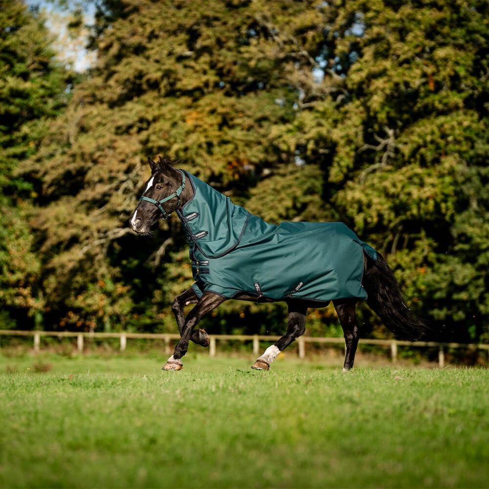 Horseware Pferde-Regendecke Horseware Amigo Ripstop 900D Plus Turnout 0g – Bild 3 von 5