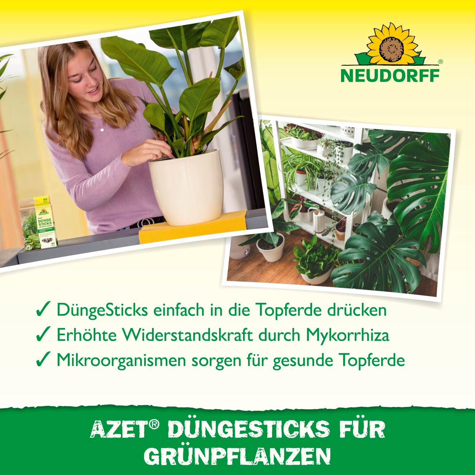 Neudorff Pflanzendünger Azet DüngeSticks für Grünpflanzen 40 Stück – Bild 4 von 5