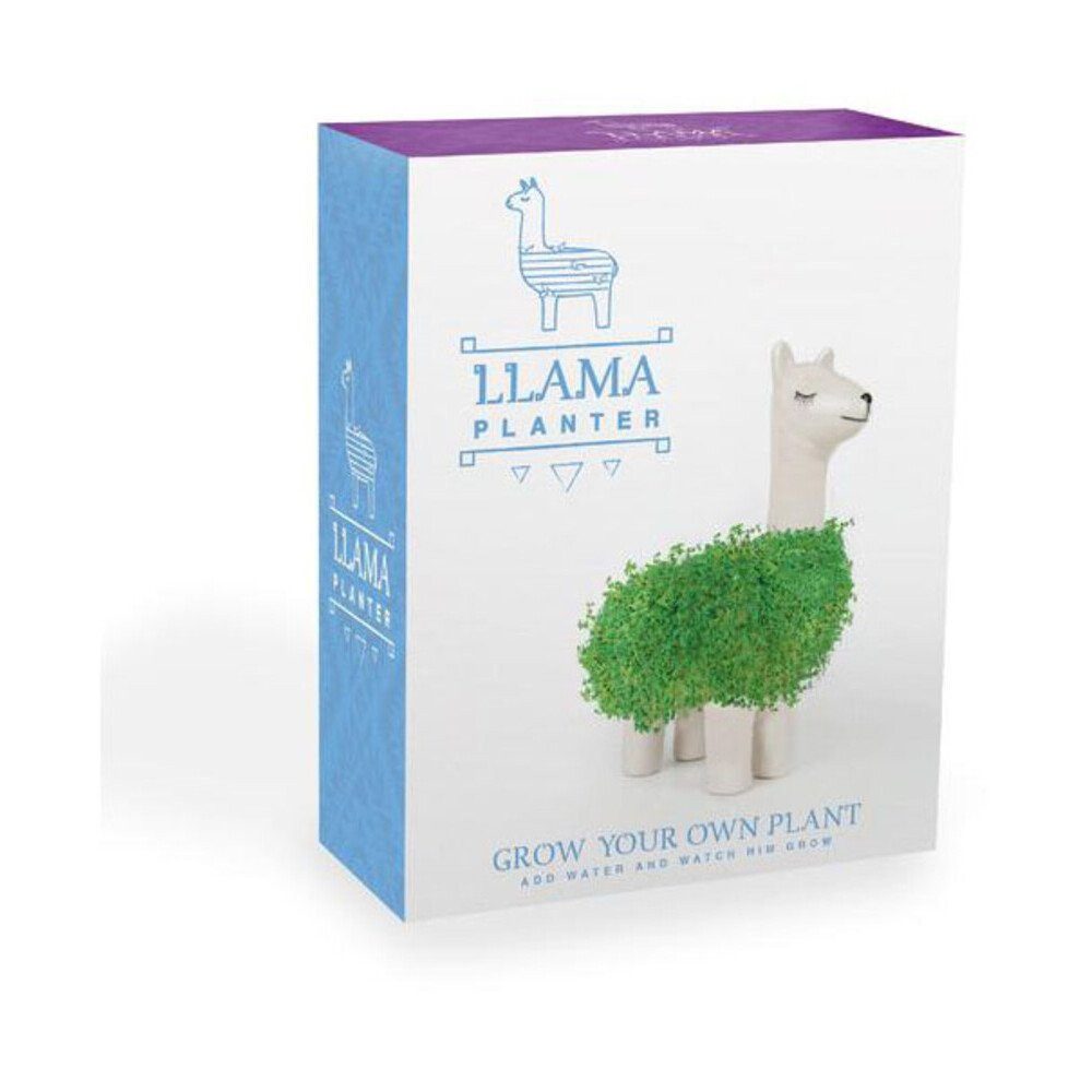GIFT REPUBLIC Kräutersamen Green Lama 18 cm Chia, Green Lama, 2-tlg., 12,00cm, Keramik – Bild 2 von 3