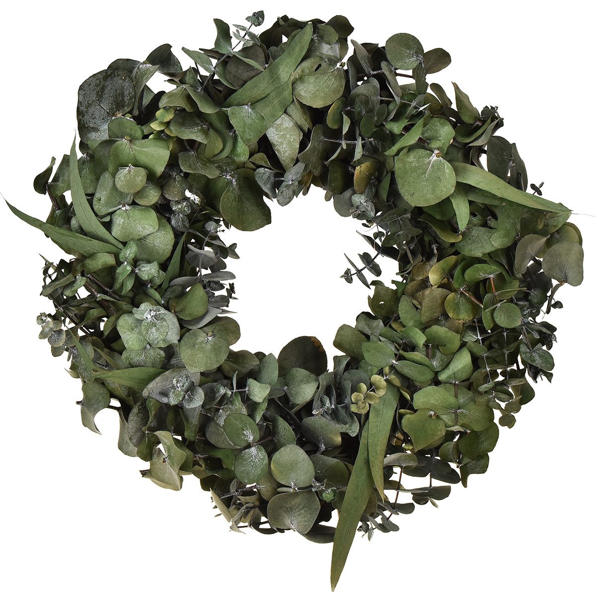 Trockenblume Eukalyptus Naturkranz Ø35cm konserviert Duftdeko, Viana, Höhe 9 cm