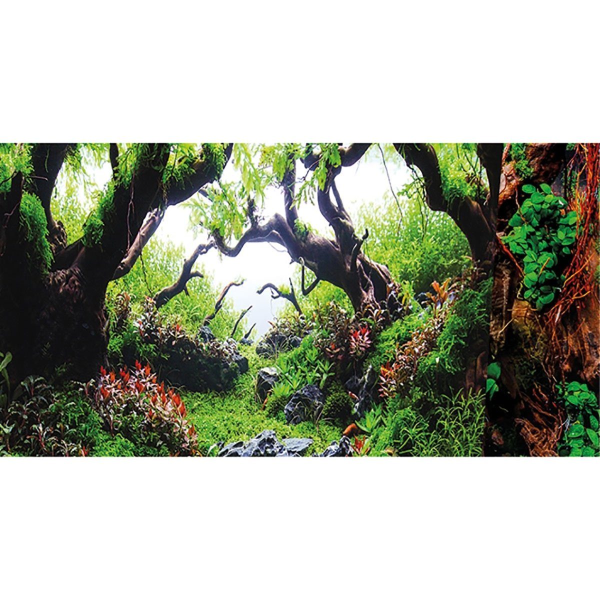 HOBBY Aquarienrückwand Fotorückwand Green Dream / Wooden Sky 100 x 50 cm