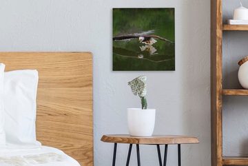 OneMillionCanvasses® Leinwandbild Ein Weißkopfseeadler fliegt sehr niedrig über dem Wasser, (1 St), Leinwand Bilder für Wohnzimmer Schlafzimmer