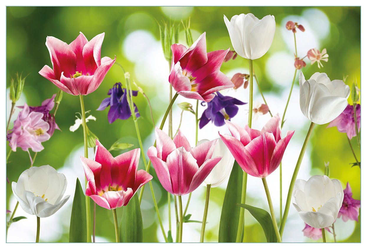Wallario Küchenrückwand Blühende Blumen im Frühling in pink und weiß, (1-tlg)