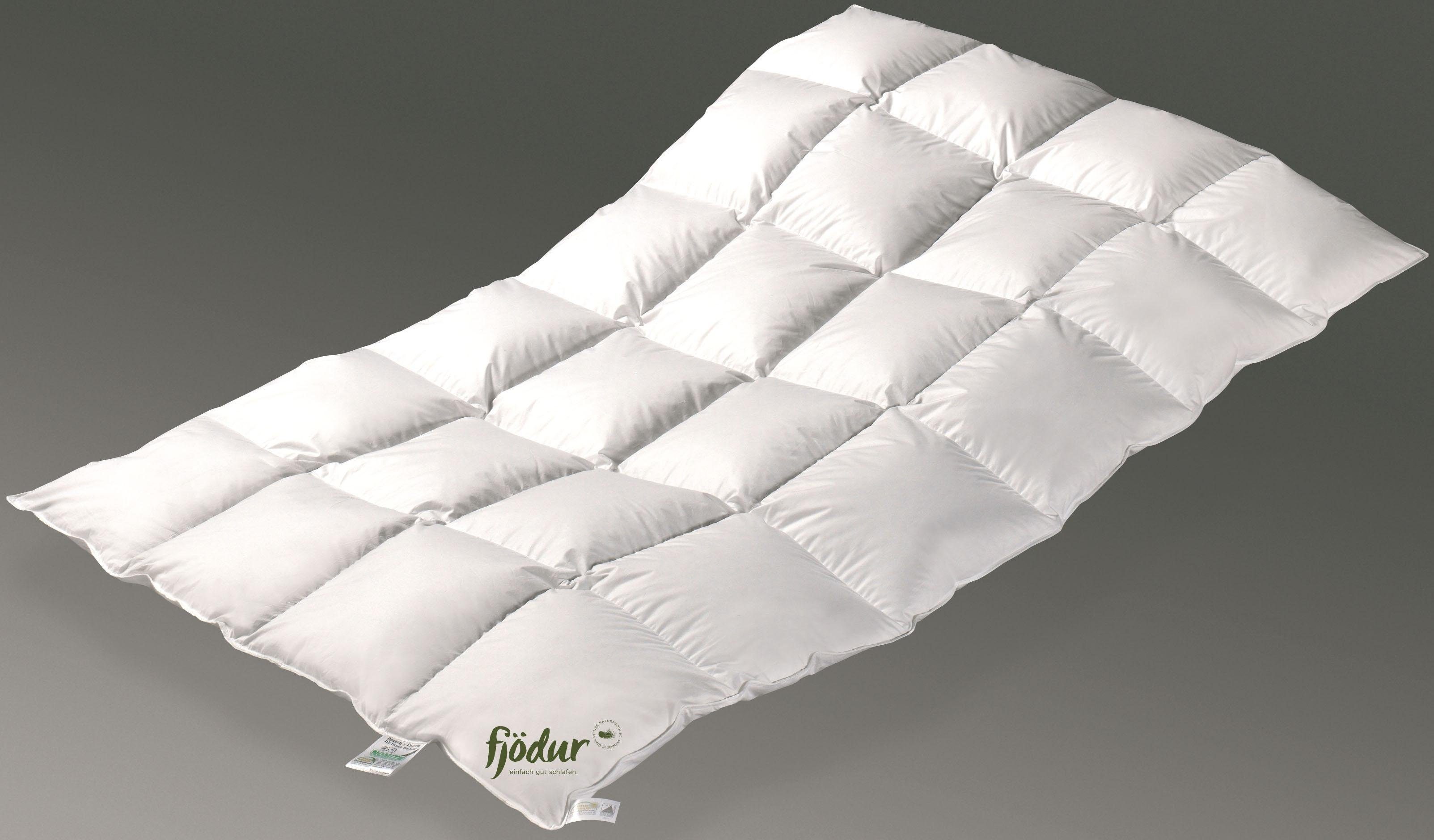 fjödur Federbettdecke Fabiennes Basic, Bettdecken für Winter, Decke, Füllung: 85% Federn, 15% Daunen, Bezug: 100% Baumwolle, Bettdecke 135x200 cm, allergiker geeignet (für Hausstauballergiker)