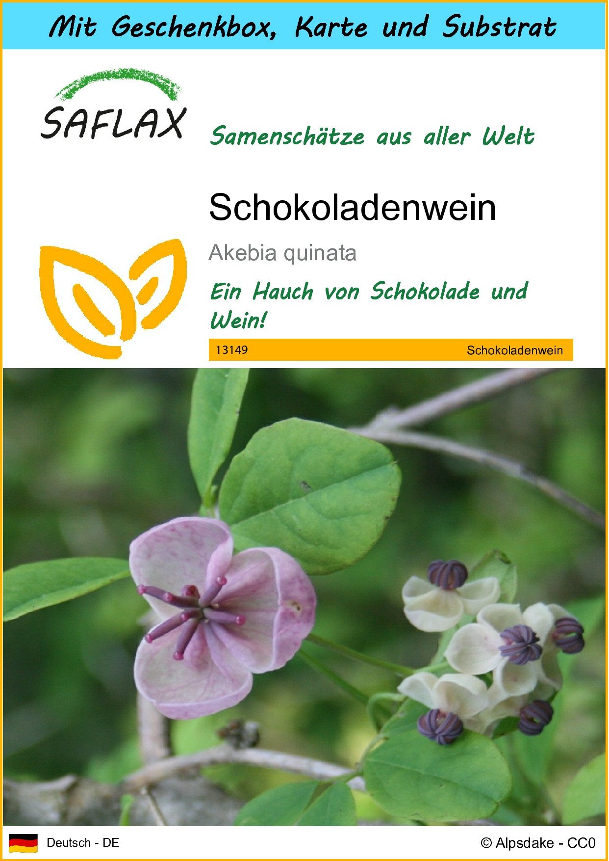 SAFLAX Blumensamen SAFLAX - Geschenkset - Schokoladenwein