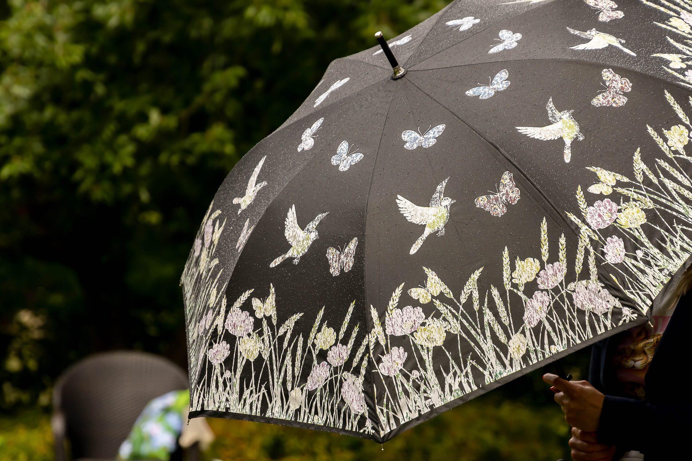 degawo Stockregenschirm Farbwechsel bei Nässe Regenschirm Schwarz bunte Schmetterlinge Blumen