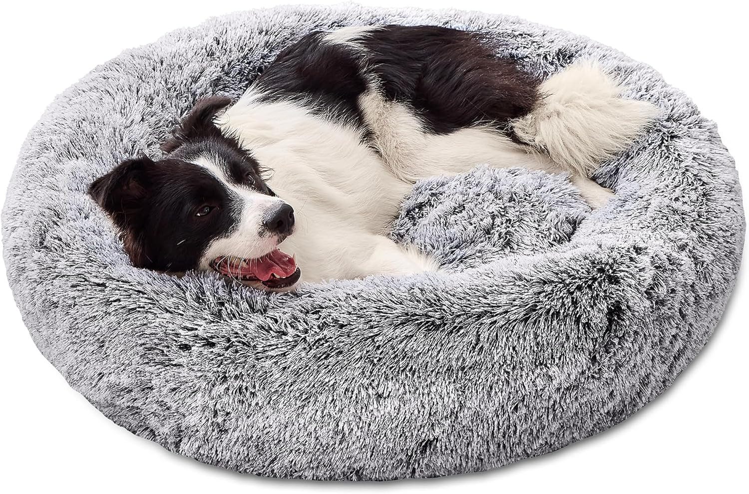 Pisi & Bili Tierbett Tierbett, Hundebett günstig online kaufen